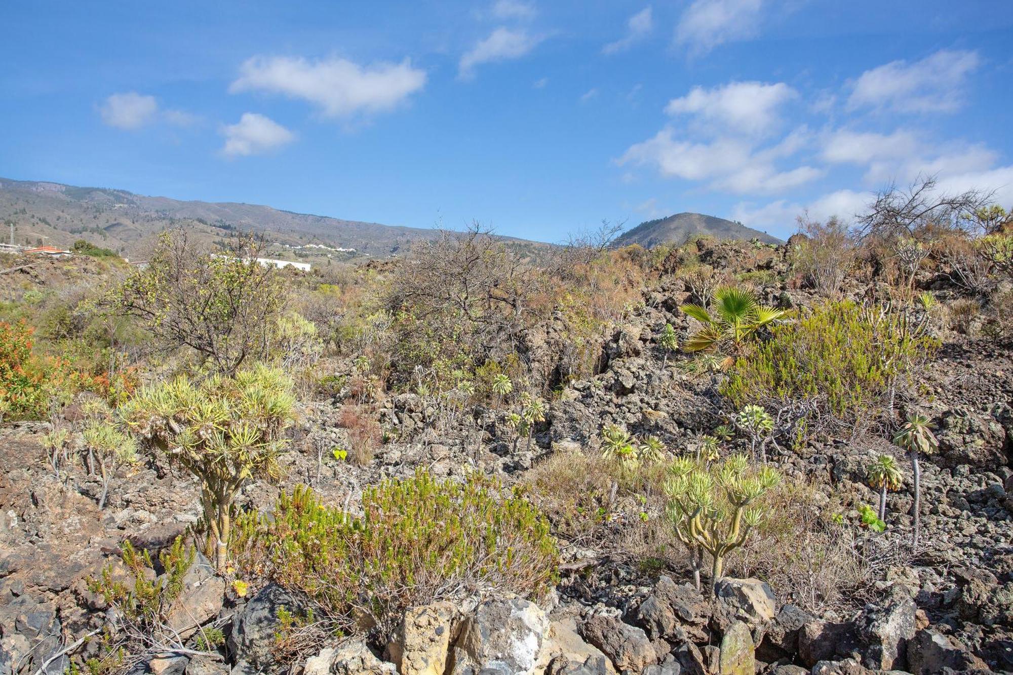 Minipiso Rural Holiday home Guia de Isora (Tenerife)