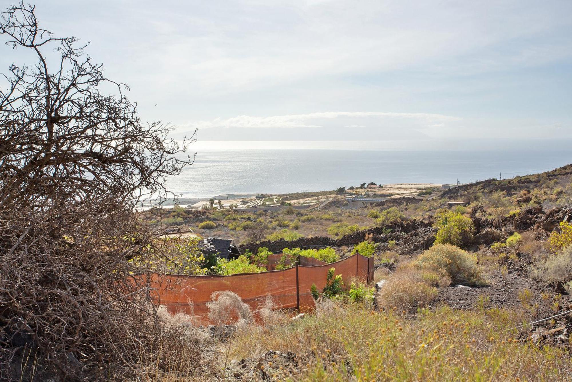 Minipiso Rural * Guia de Isora (Tenerife)